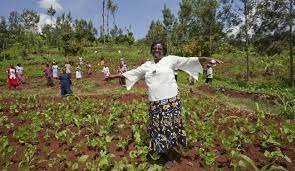 women agriculture