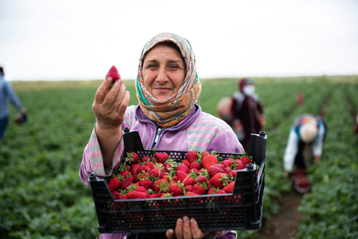 Research reveals why women-led farms are more sustainabl